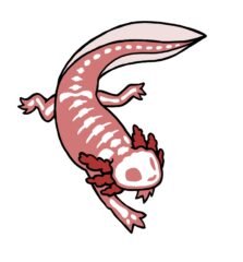 Axolotl Sticker