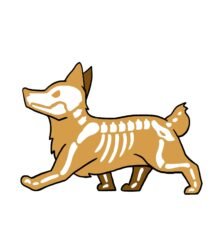 Corgi Sticker