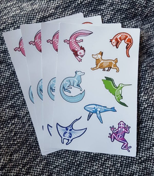 Waterproof Sticker Sheet: Rainbow Animal Skeletons - Image 3