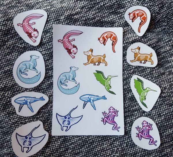 Waterproof Sticker Sheet: Rainbow Animal Skeletons - Image 2